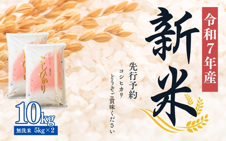 No.2499大文字屋米穀店【令和7年産】コシヒカリ精米（無洗米）1等米 10kg