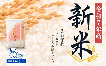 No.2500大文字屋米穀店【令和7年産】コシヒカリ精米（無洗米）1等米 5kg