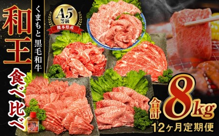 【12ヶ月定期便】 熊本県産 A5等級 黒毛和牛 和王 食べ比べ 合計約8kg 牛肉 セット