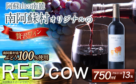 南阿蘇村産ぶどう100%使用 赤ワイン RED cow 1本 750ml《30日以内に出荷予定(土日祝除く)》熊本県 南阿蘇村 カベルネ・ソーヴィニヨン ヤマ・ソーヴィニヨン ワイン 酒 お酒