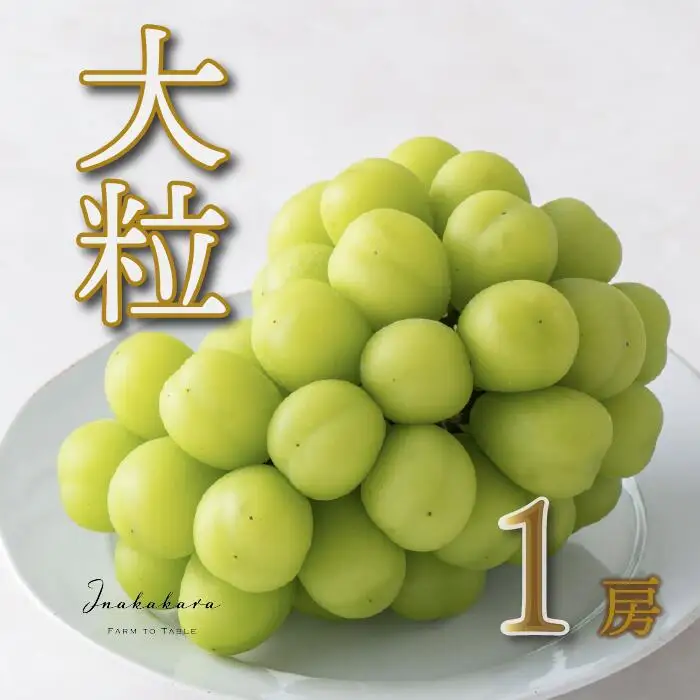 【2026年発送★先行予約】Inakakara 一宮の大粒&大房シャインマスカット1房 (約700g） 192-001