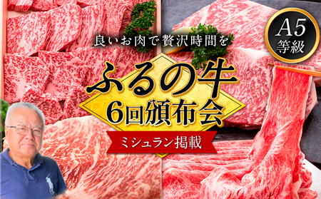 【6ヶ月頒布会】鞍手町 ふるの牛 頒布会 計5kg以上 全6回《お申込み月の翌月から出荷開始》ふるの牛 サーロインステーキ 特選焼き肉用 ロース カルビ すき焼き しゃぶしゃぶ ロース サーロインブロック 焼肉 焼肉用 定期便 頒布会