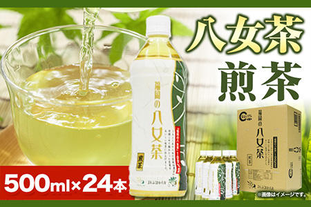 八女茶 煎茶ペットボトル 500ml×24本 株式会社親和園《30日以内に出荷予定(土日祝除く)》福岡県 鞍手郡 鞍手町 お茶 緑茶 茶 八女茶 ペットボトル 送料無料
