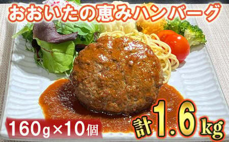 おおいたの恵みハンバーグ1.6kg[160g×10個]( 大分の恵み ハンバーグ レンジでチンするだけ )＜130-001＞