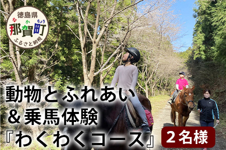 動物ふれあい＆乗馬体験 『わくわくコース』約30分 2名【徳島県 那賀町 乗馬 馬 動物 体験チケット 体験型 観光乗馬 ふれあい 観光 旅行 遊び アクティビティ お出かけ レジャー アウトドア アニマルセラピー 癒し リフレッシュ クラブコルツ】CC-3