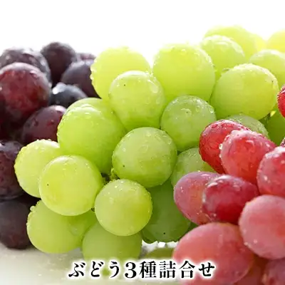 【2026年先行予約】ぶどう食べ比べ 3種セット 約420g 姫野農園 | ぶどう食べ比べ