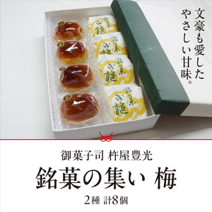 銘菓の集い 梅（2種計8個）