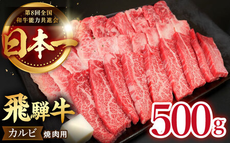 飛騨牛 カルビ 500g [TDC001] 牛肉 焼肉用 
