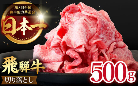 飛騨牛 切り落とし 500g (250g×2) [TDC009] 牛肉 小分け