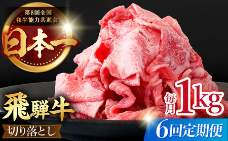  【6回定期便】【飛騨牛】切り落とし 総計6kg 〈1回あたり〉1kg (250g×4) [TDC015]飛騨牛 切り落とし