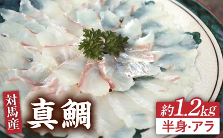 対馬 マダイ 3枚おろし 約1.2kg [WAD005] 刺身 真鯛 まだい 半身 アラ 鯛 たい 鯛しゃぶ 