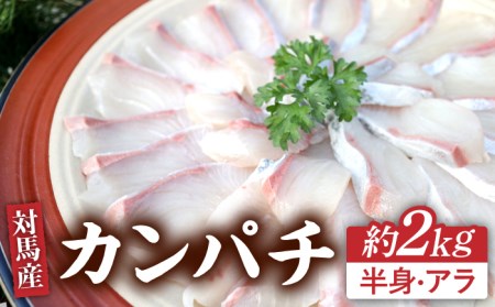 対馬 カンパチ 3枚おろし 約2kg [WAD010] 冷蔵 カンパチかんぱち