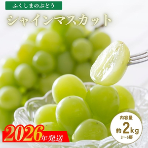 No.2506くるま農園　シャインマスカット　約2kg(3～5房)【2026年発送 先行予約】