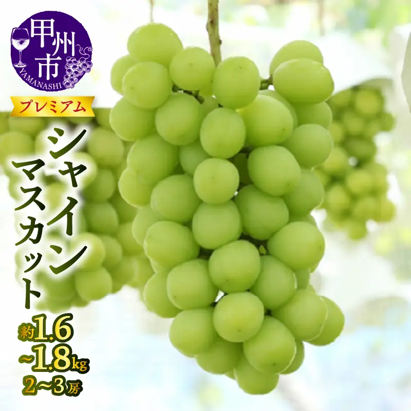 【宿沢フルーツ農園】プレミアムシャインマスカット約1.6～1.8kg（2～3房）【2026年発送】（SF）C-124 シャインマスカット フルーツ