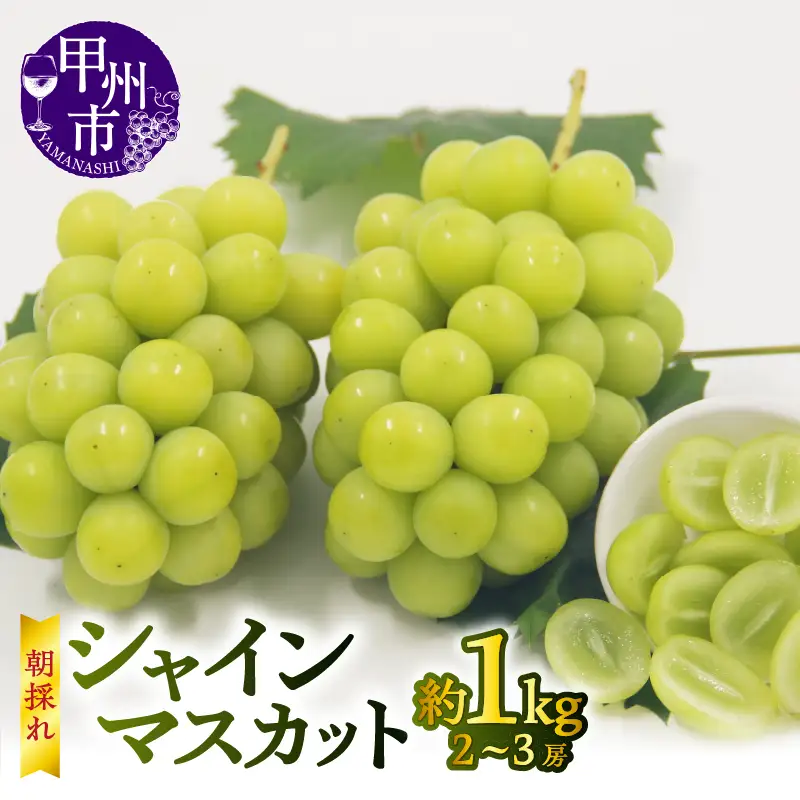 【宿沢フルーツ農園】シャインマスカット 約1.0kg（2～3房）【2026年発送】（SF）B-181 シャインマスカット フルーツ
