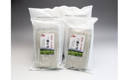 ロード銀山特製三瓶そばセット【そば 蕎麦 三瓶そば 細麺 詰め合わせ セット】