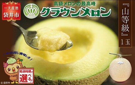 ★発送月選択できる返礼品★ 『クラウンメロン（山等級）1玉』 ギフト箱入り メロン 人気 厳選 ギフト 贈り物 デザート グルメ 袋井市 2026年6月発送