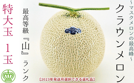 ★発送月選択できる返礼品★ 『クラウンメロン（山等級）特大玉  1玉』 ギフト箱入り メロン 人気 厳選 ギフト 贈り物 デザート グルメ  袋井市 2026年6月発送