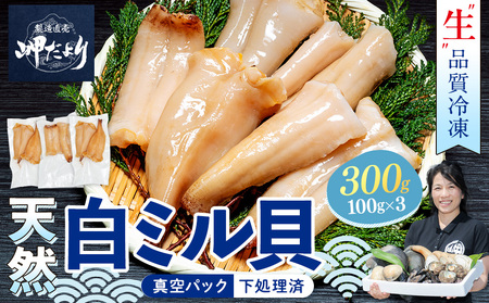 岬だより 貝専門店 天然 白ミル貝 100g×3袋 魚貝