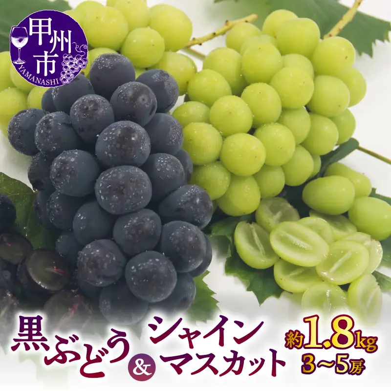 【宿沢フルーツ農園】シャインマスカット＆黒ぶどうの詰合せ 合計約1.8kg（3～5房）【2026年発送】（SF）B18-171 シャインマスカット 黒ぶどう フルーツ