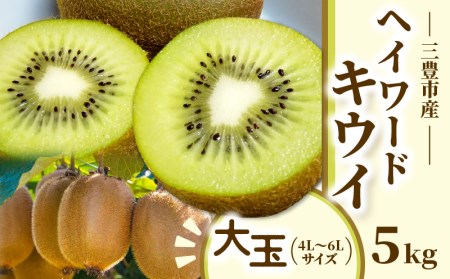 三豊市産 ヘイワードキウイ【大玉】5kg（40～60玉）