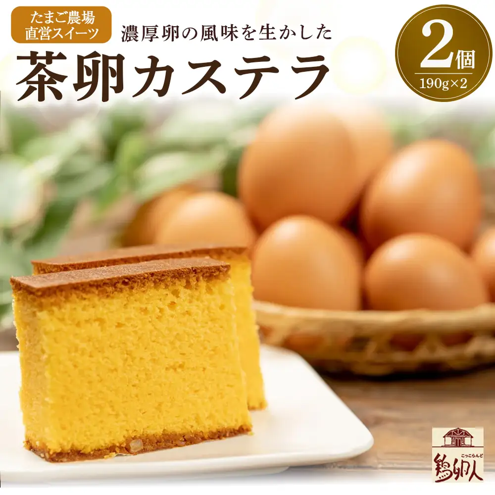 たまご農場直営スイーツ！こだわり卵のカステラ 2個セット(190g×2個) ／ Gbn-64 デザート お菓子 カステラ