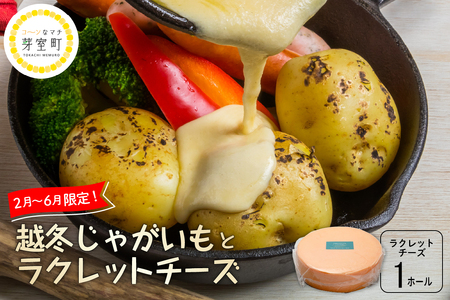 なまら十勝野 越冬 じゃがいも ラクレットチーズ 1ホール  3,700g以上 セット 詰め合わせ 季節限定 モールウォッシュ 良質 芳醇 熟成 野菜 ベジタブル ジャガイモ 芋 イモ 乳製品 チーズ ちーず ラクレット 国産 北海道産 道東 北海道 十勝 芽室町me000-009c