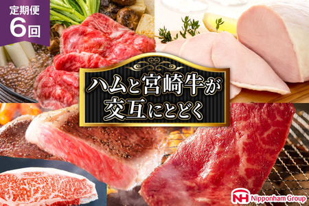 【定期便 6回】 日本ハム 宴の彩りハムと 宮崎牛が交互に届く [日本ハムマーケティング 宮崎県 日向市 452060959]