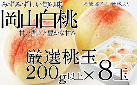桃 2026年 先行予約 岡山の白桃 200g以上×8玉 白桃