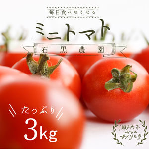 トマト 毎日食べたい石黒さんちの ミニトマト たっぷり 3kg 岡山県 瀬戸内市産 石黒農園