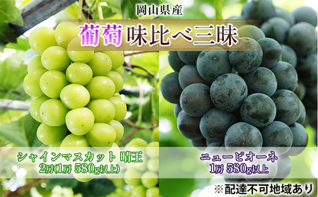 ぶどう 2026年 先行予約 葡萄 味比べ三昧 シャイン マスカット 晴王 2房（1房 580g以上）ニュー ピオーネ  1房 580g以上（露地栽培）