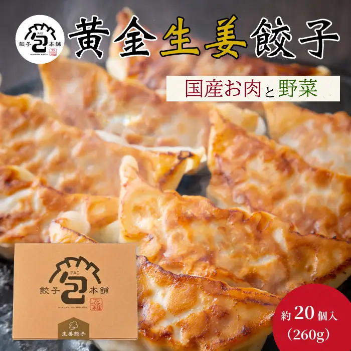 「黄金生姜餃子」260g(約20個) 餃子本舗 包 餃子 しょうが ギョーザ ぎょうざ 惣菜 冷凍 中華 点心 おかず おつまみ 国産野菜 058012