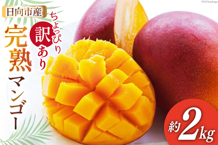 【2026年夏発送】 訳あり 宮崎 完熟 マンゴー 約 2kg [宮崎県農業協同組合日向地区本部（販売課） 宮崎県 日向市 452060660]