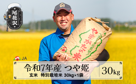 令和7年産 玄米 特別栽培米 つや姫 30kg ja-tsgta30