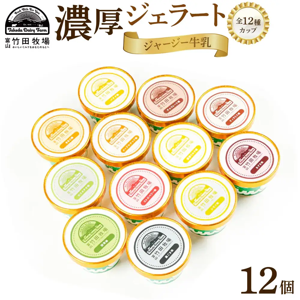 ジャージー牛乳の濃厚ジェラート！竹田ジェラート |全12種類|カップ