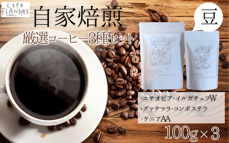 【自家焙煎】カフェ・フランドル厳選コーヒー3種セット（100g×3・豆） 2025/9/19～
