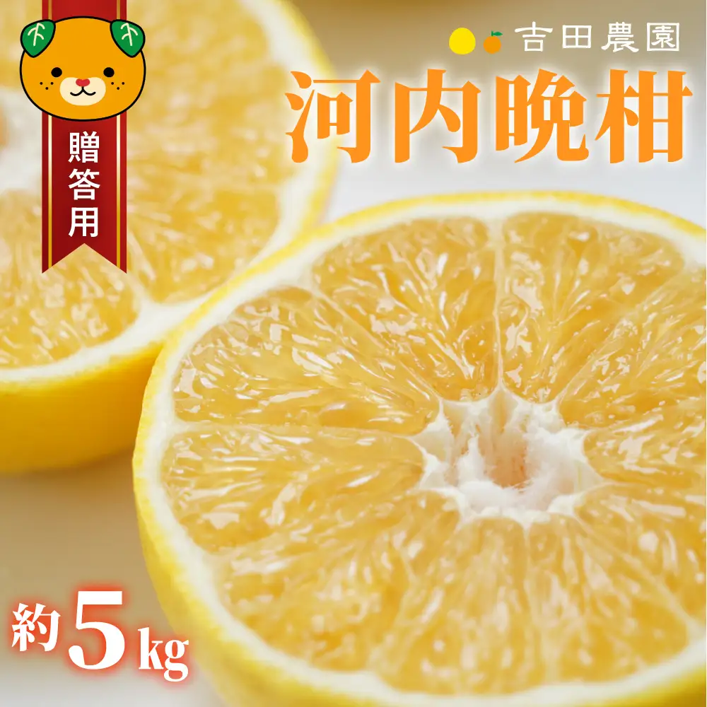 贈答用 河内晩柑 愛南ゴールド 5kg 河内晩柑 吉田農園