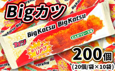 Bigカツ20入X10袋 
