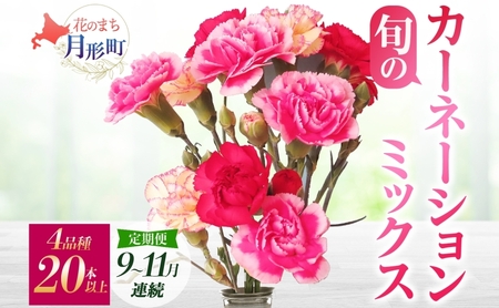 ＜2026年9月～11月まで3ヵ月連続お届け＞北海道 カーネーション ミックス 4品種 20本以上 花 花束 切花 ブーケ 旬 季節 生花 フラワー アレンジメント 