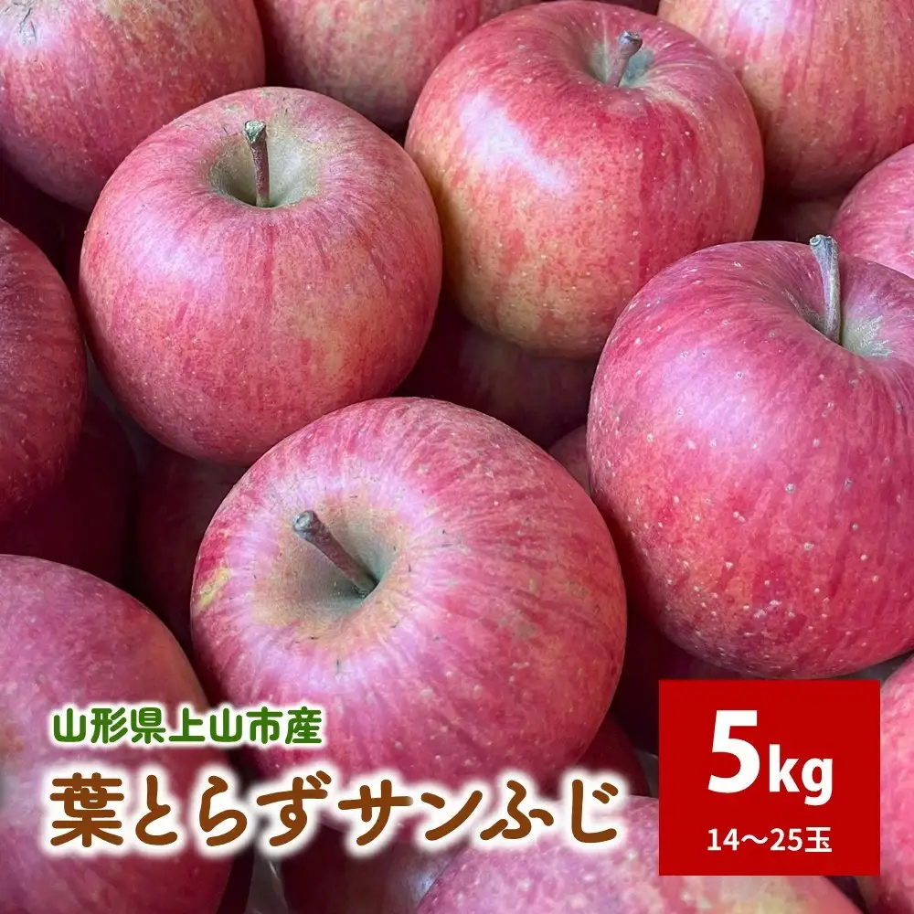 有機肥料栽培　葉とらずサンふじ　上山市産　５ｋｇ　１４～２５玉　ご家庭用　0079-2624