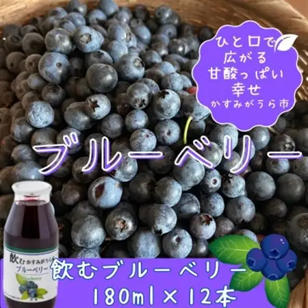 かすみがうら産　飲むブルーベリー　180ml×12本_飲料・ドリンク  果汁飲料 _【1377970】
