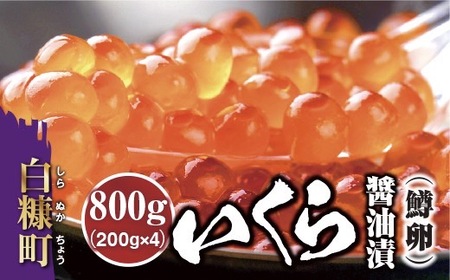 ＼高評価 4.9／ いくら醤油漬（鱒卵） 800g（200g×2パック×2箱）_K036-0979