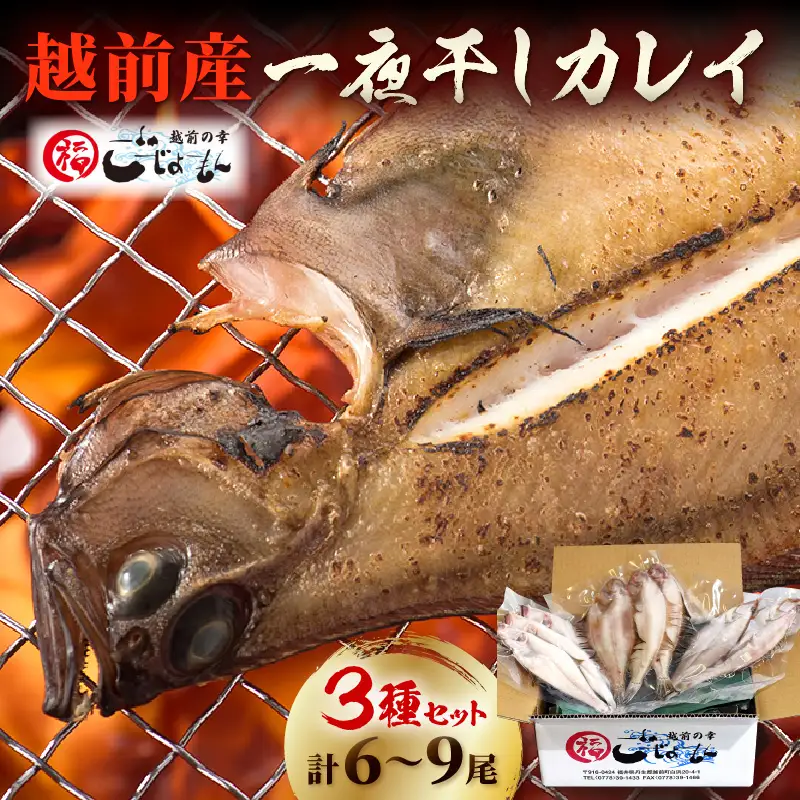 越前産 かれい「一夜干しカレイ3種セット（合計6～9尾）」【かれい カレイ 鰈】 [e15-a001]