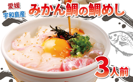 真鯛 みかん 鯛めし 3人前 和日輔 郷土料理 D010-091003
