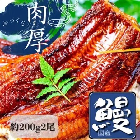 熟練された職人が作る「炭火焼き　国産うなぎ蒲焼」大サイズ約200g×2尾_魚介・海産物 うなぎ  ウナギ 鰻_【配送不可地域：離島】【1378495】