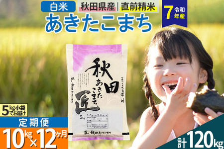 【白米】＜令和7年産＞ 《定期便12ヶ月》秋田県産 あきたこまち 10kg (5kg×2袋)×12回 10キロ お米 匠 