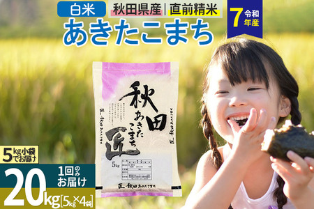 【白米】＜令和7年産＞ 秋田県産 あきたこまち 20kg (5kg×4袋) 20キロ お米 匠