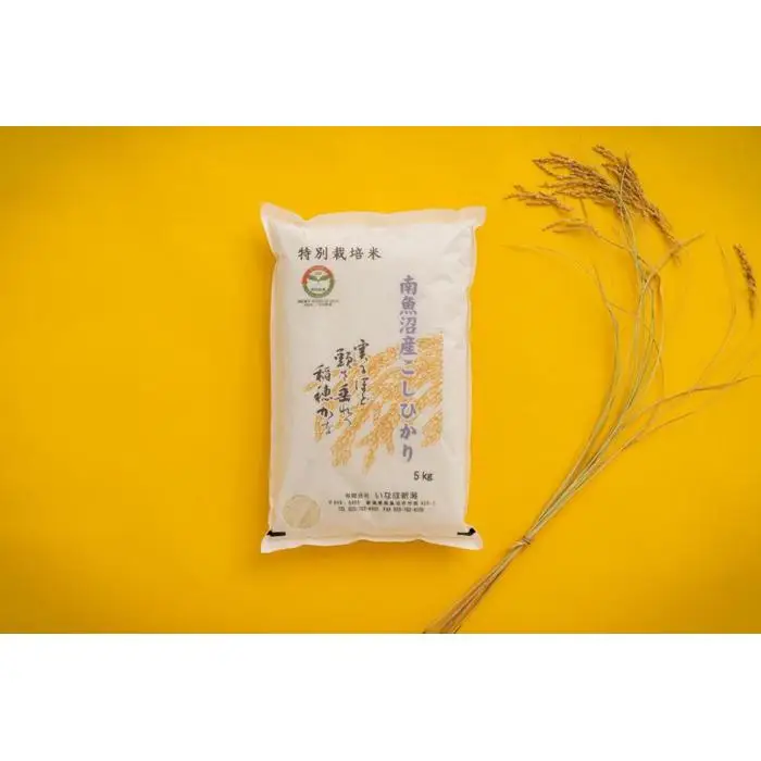 【令和7年産】 南魚沼産コシヒカリ「特別栽培米（アファス認証）」精米5kg【新潟県 特A地区】【銘柄米 ブランド米 精米 こしひかり コシヒカリ 魚沼産 新潟米 産地直送 お米 米 こめ コメ ご飯 御飯 ごはん】