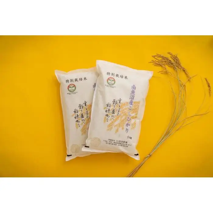 【令和7年産】 南魚沼産コシヒカリ「特別栽培米（アファス認証）」精米5kg×２袋【新潟県 特A地区】【銘柄米 ブランド米 精米 こしひかり コシヒカリ 魚沼産 新潟米 産地直送 お米 米 こめ コメ ご飯 御飯 ごはん】