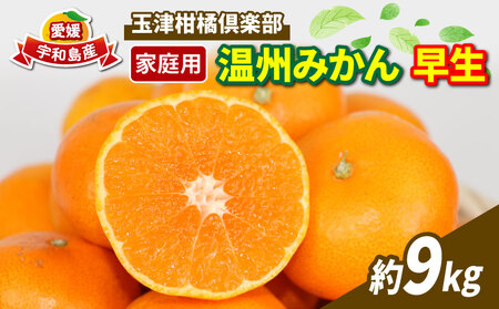 【ご家庭用】早生温州9kg玉津柑橘倶楽部みかん|B010-072001